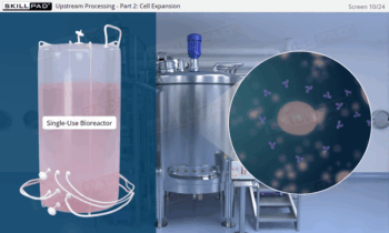 Essentials of Biopharmaceutical Manufacturing