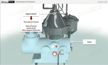 Downstream Processing: Ultrafiltration And Diafiltration