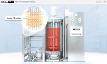 Fermentation In Biopharmaceutical Manufacturing