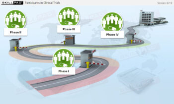 Roles And Responsibilities Under ICH GCP