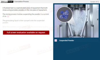 Fluidized Beds