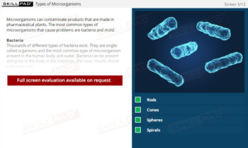 Basic Microbiology