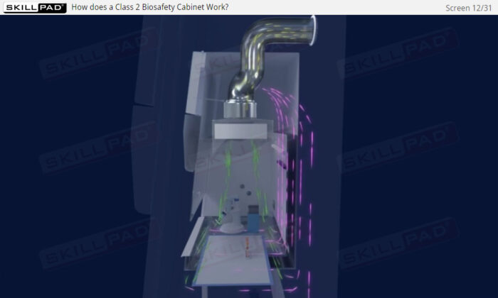 Working with Biosafety Cabinets