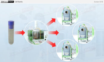 Fermentation in Biopharmaceutical Manufacturing