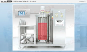 Cell Culture in Biopharmaceutical Manufacturing