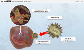 Cell Biology And Recombinant DNA Technology