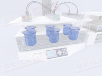 In Vitro Dissolution