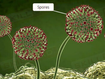 Basic Microbiology